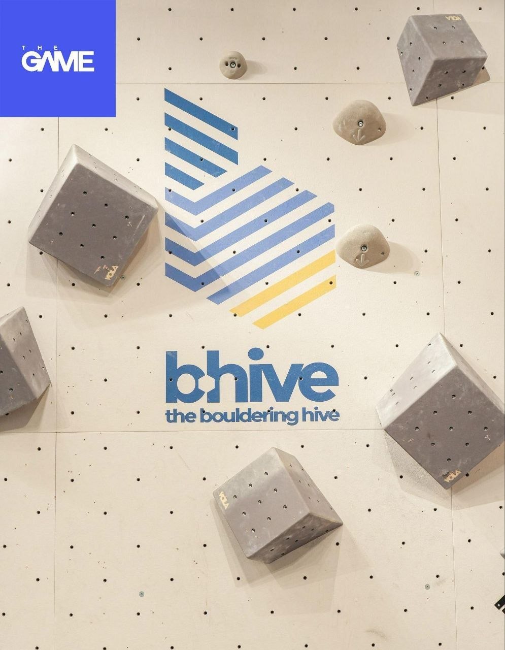 The Bouldering Hive — Circuit Makati — Upper Ground Floor, Circuit Lane, Ayala Malls Circuit Makati